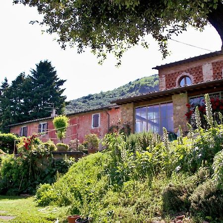 Casa Gaia Lucca Exterior foto